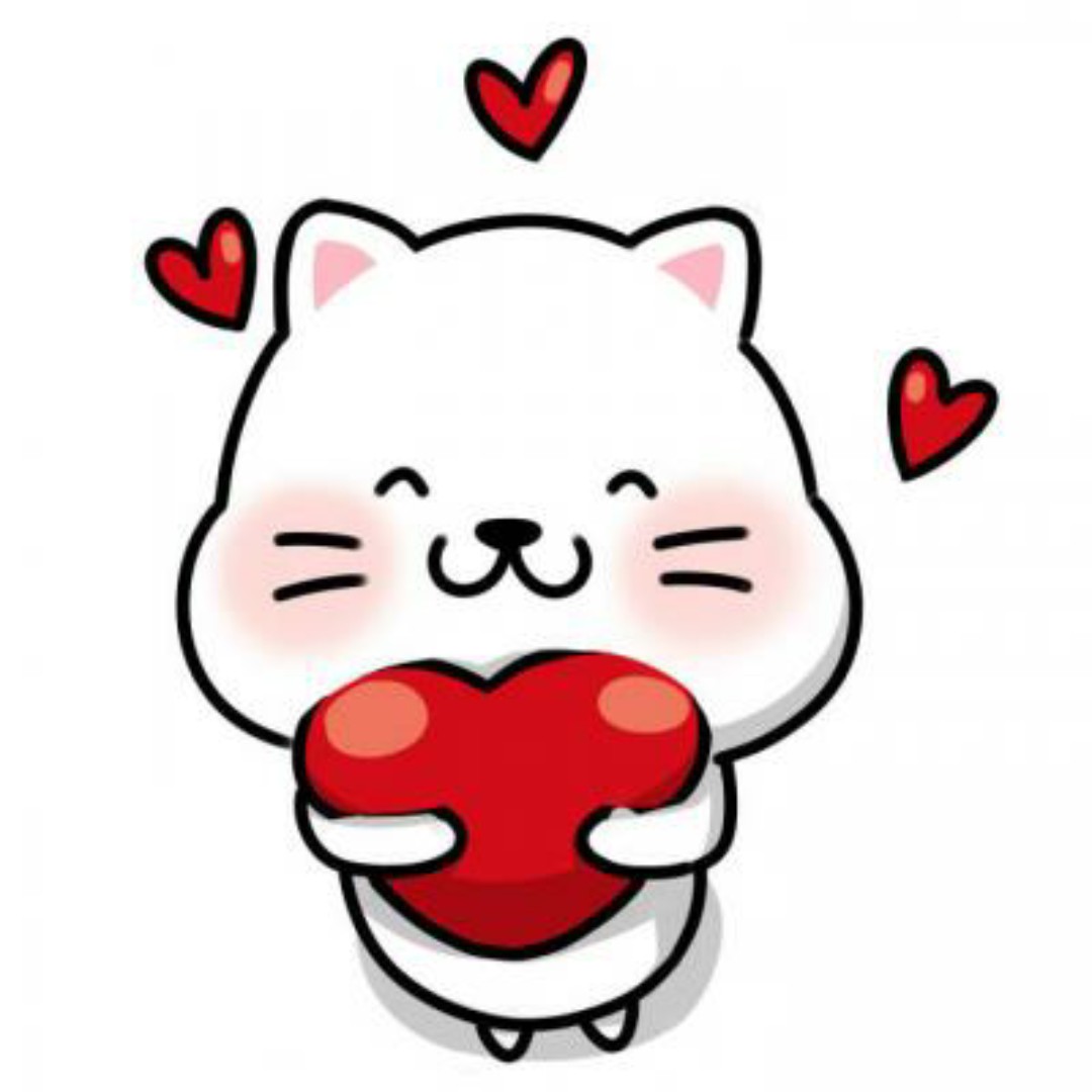 剁手党之拉拉队