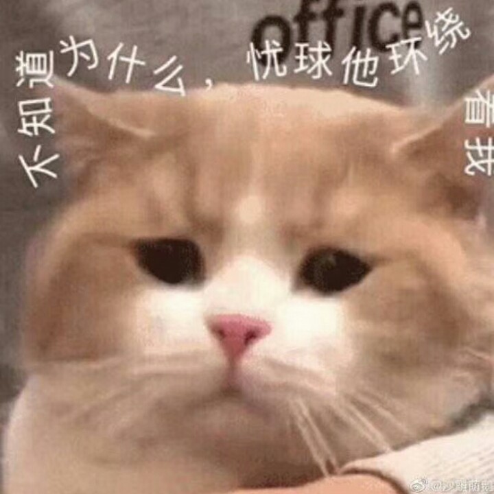 我马上就要睡觉了