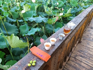 爱吃三光面团的安妮邱玲