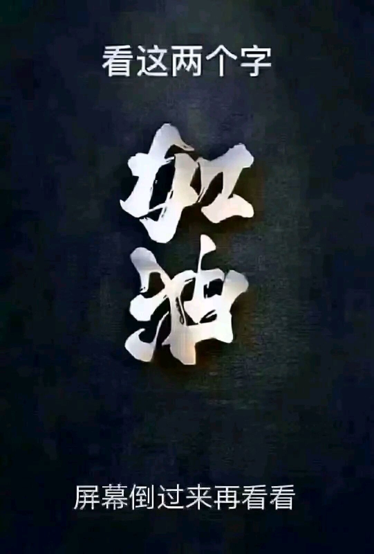 超级爱吃鱿鱼卷