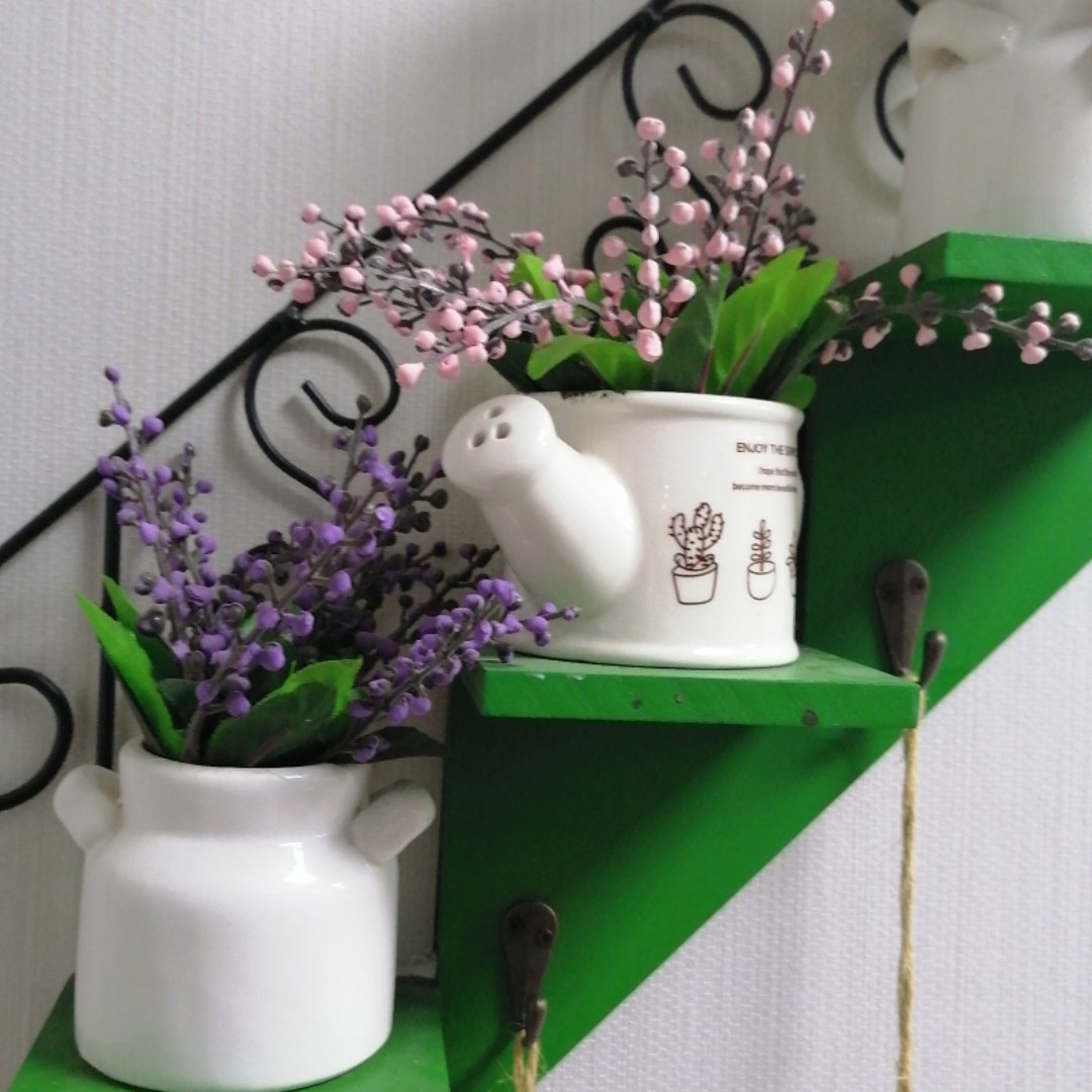 我家的小乖乖anm