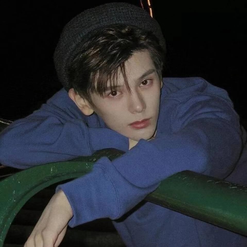 休斯顿开朗的栗壳