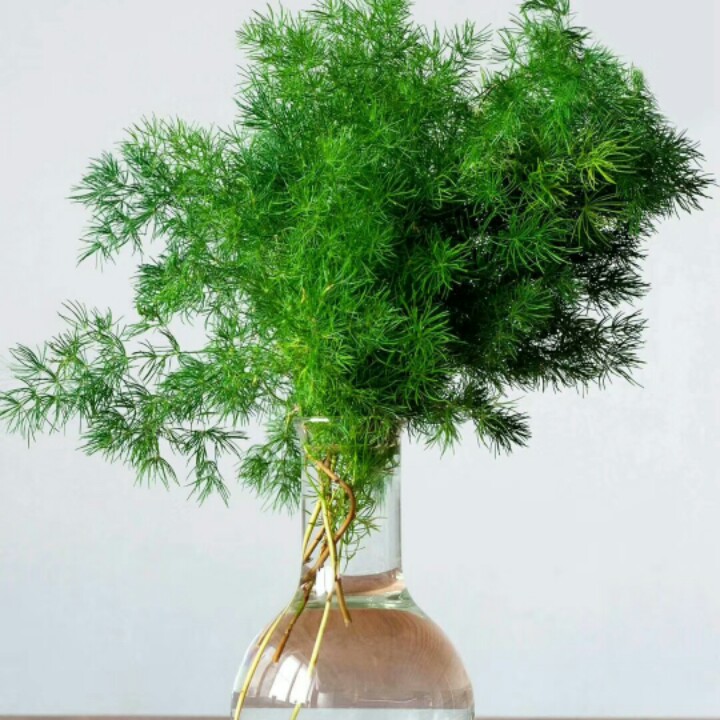 适合自己就对了