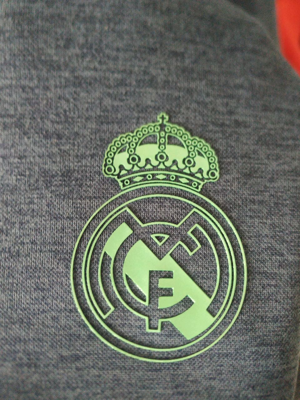 你拉着我说你有些鱿鱼