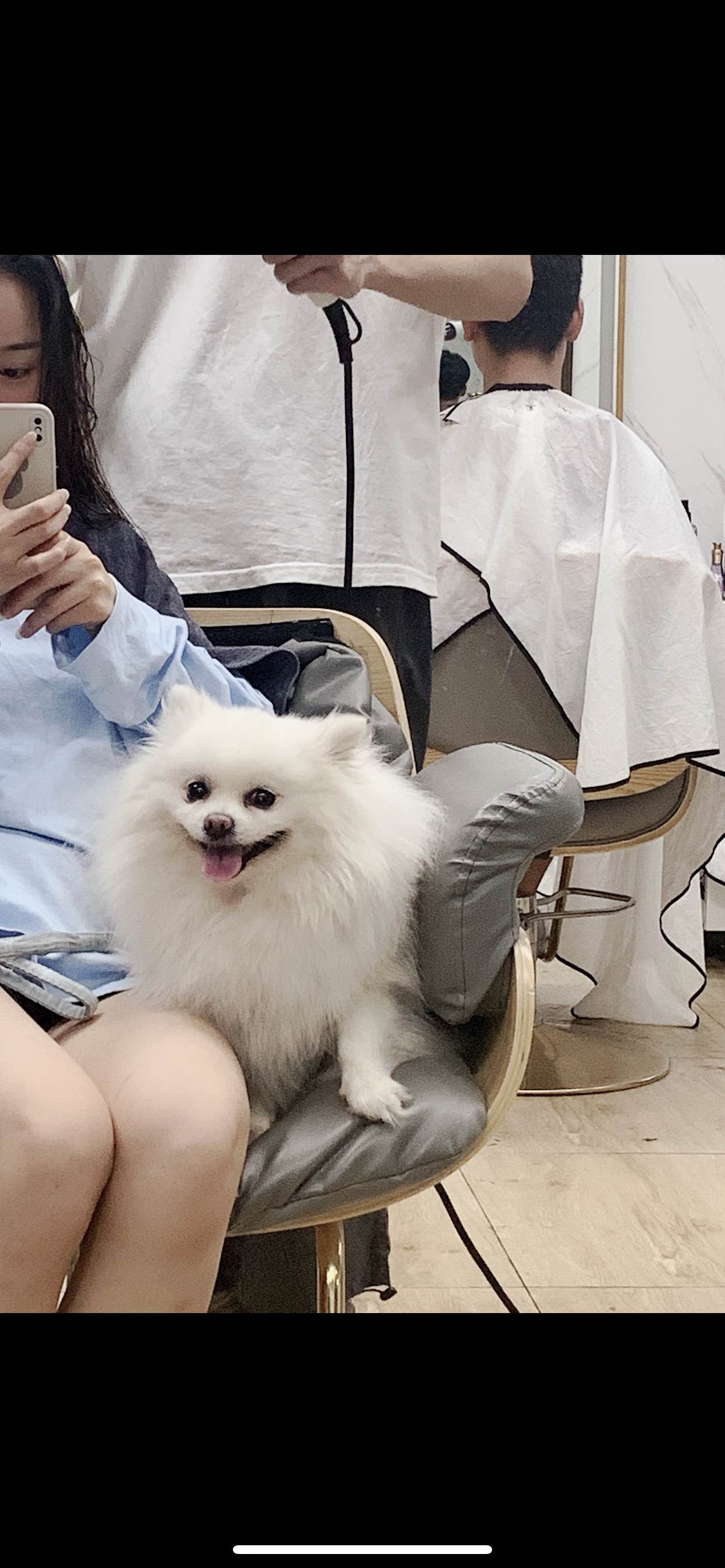 想做一条咸鱼吃了睡睡了吃