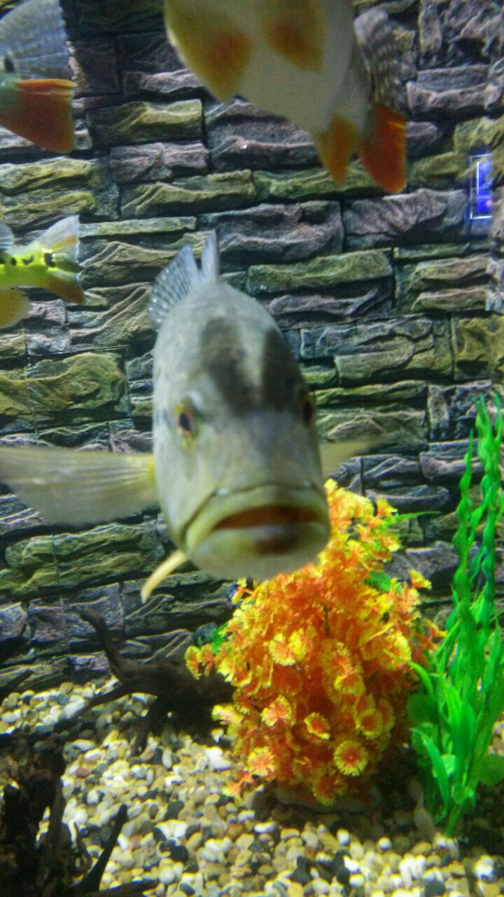 和气面对每一天