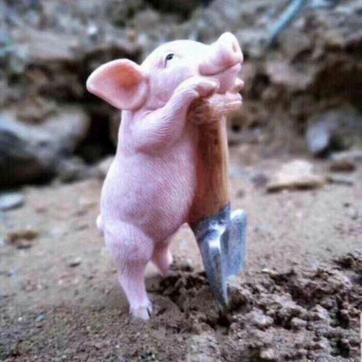 好好珍惜一个人哦