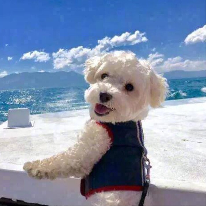 想在闲鱼上翻个身的咸鱼