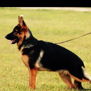 别把缘份当寂寞