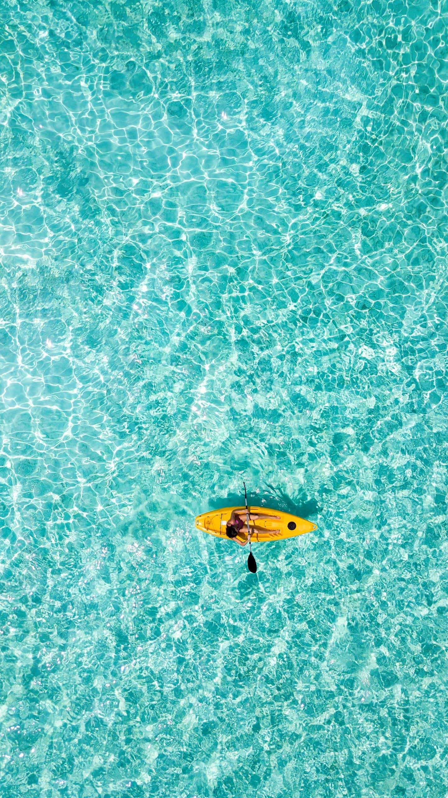 不怀念就不怀念