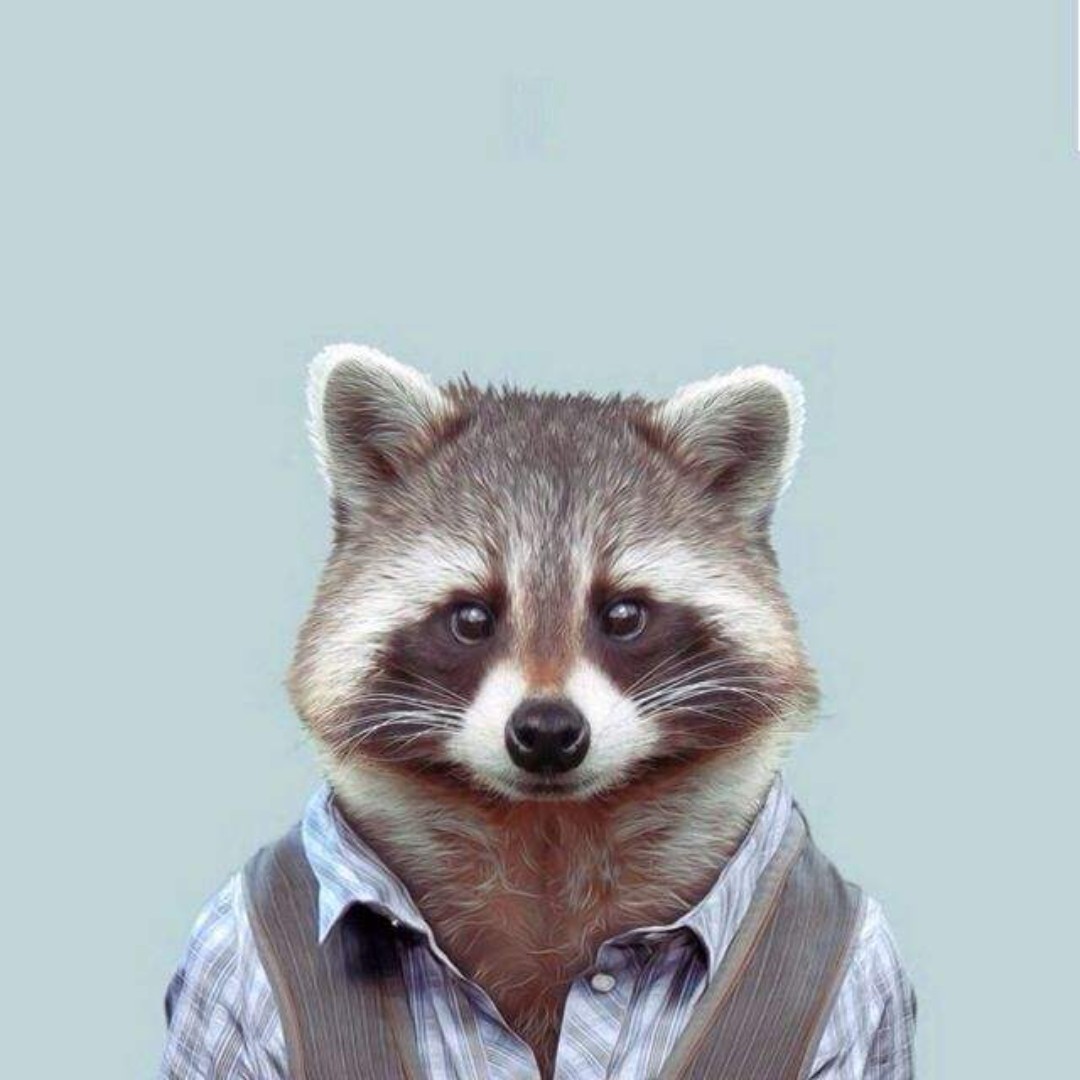 周六就带派皮诺走丶