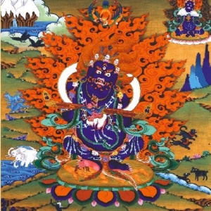 不知道该不该5368