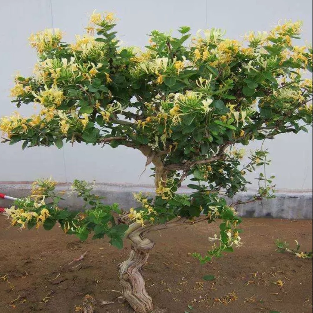 湖光山色天南海北