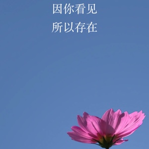 花儿舞蹈老师