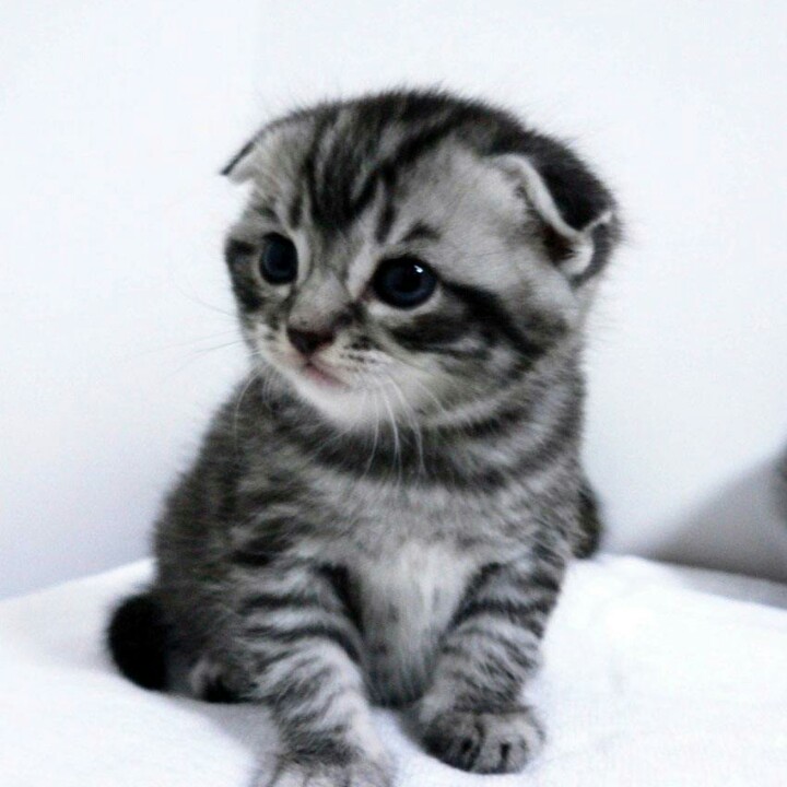 zl新的一天开始