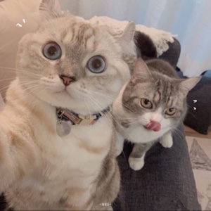 追风赶月莫停留