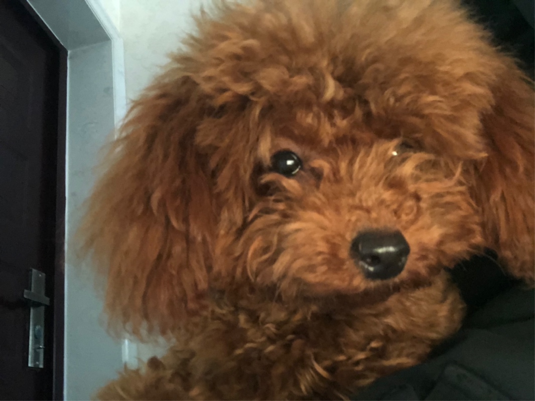 爱吃海苔饭团的回忆者38