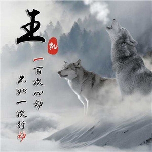 福居路微笑的生姜