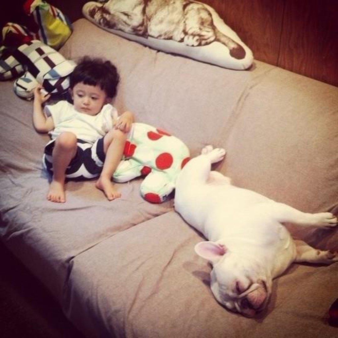 听怖开花的声音