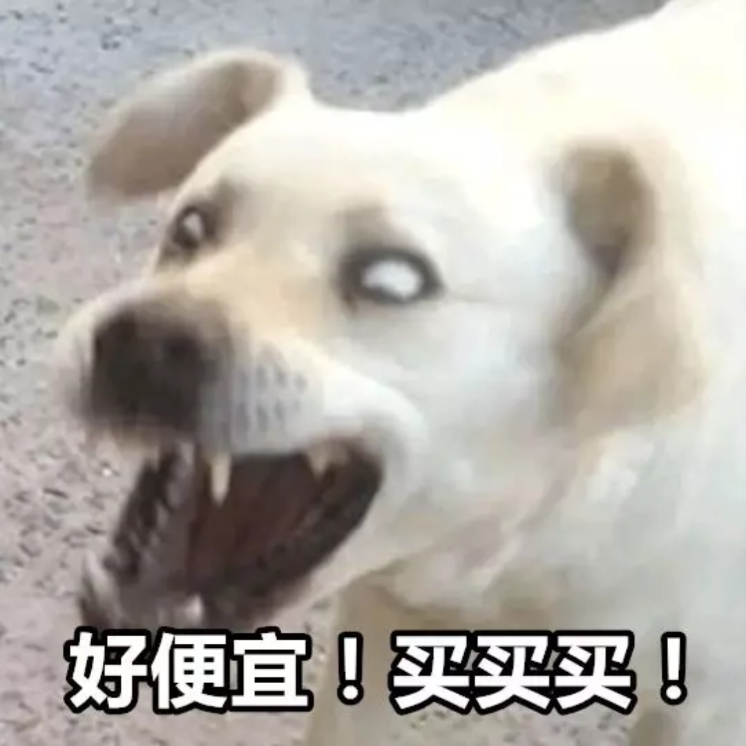 大大大大大团长