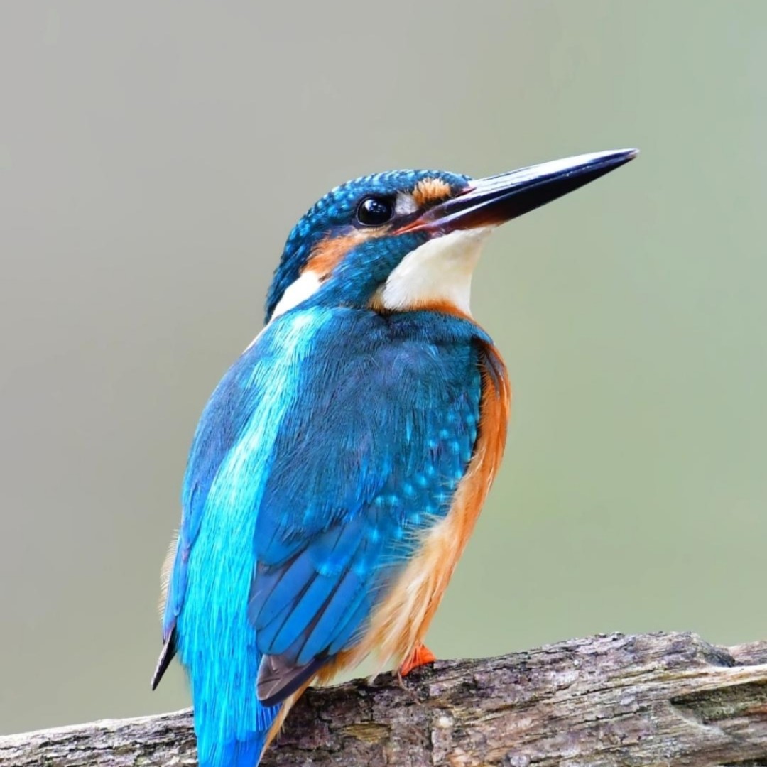 多一点幸福快乐