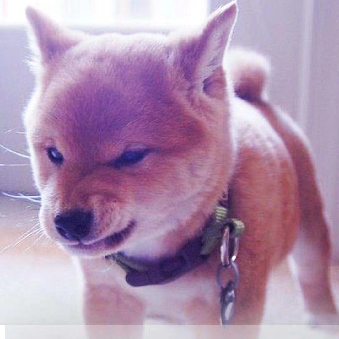 旧人旧景够不够酷