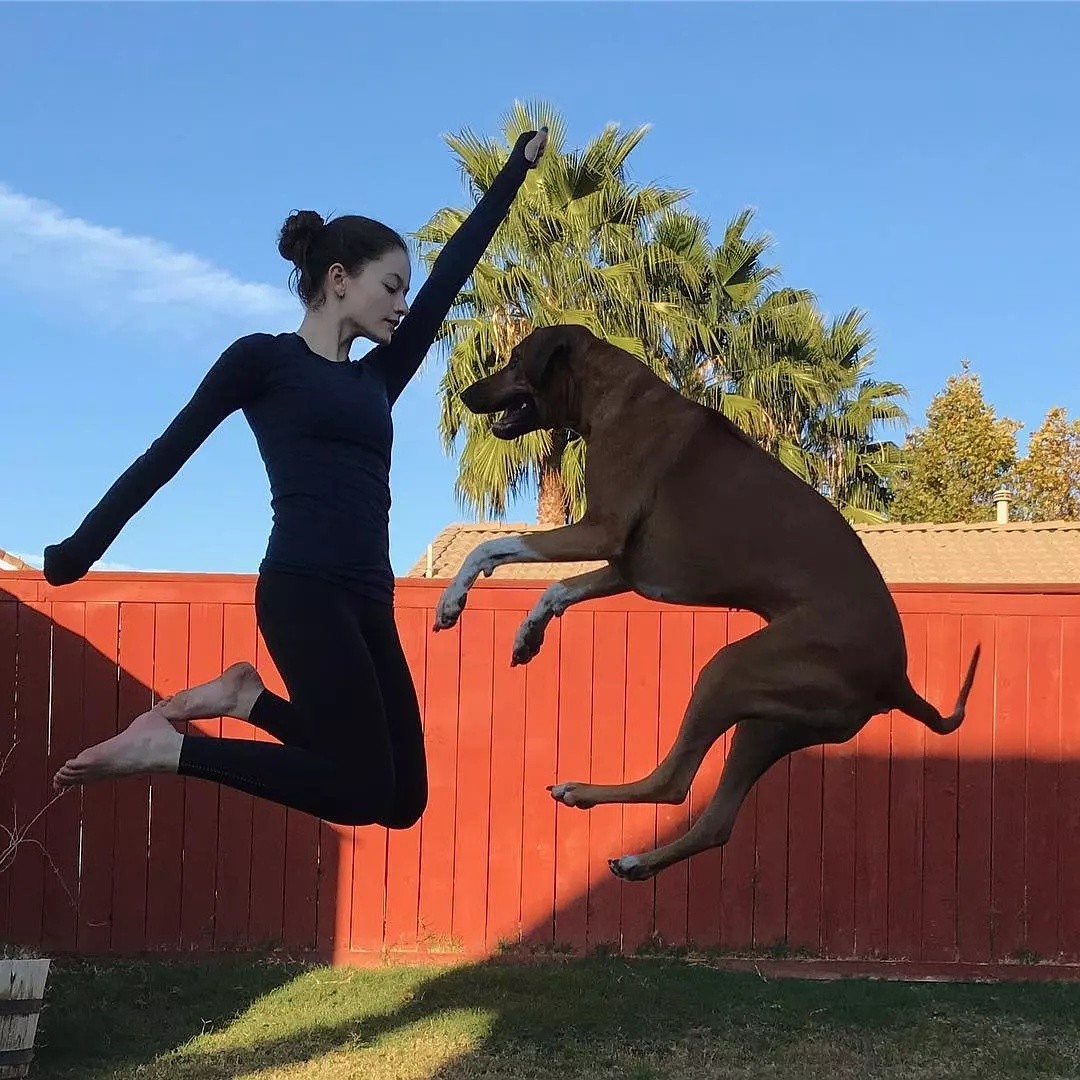 夜战八方藏刀式第八