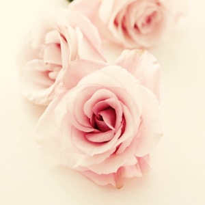 爱吃红薯馅饼的旧时光