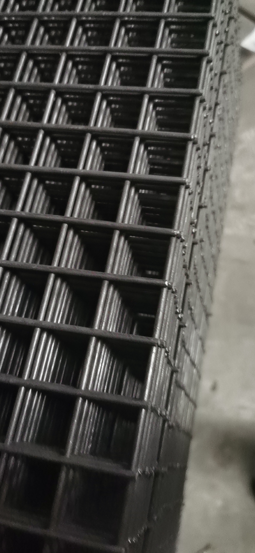 爱吃爆香牛肉的蛋挞