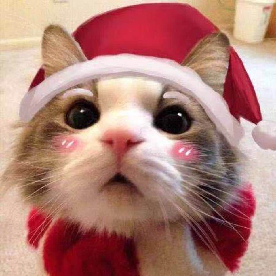 你说庐山为哪山