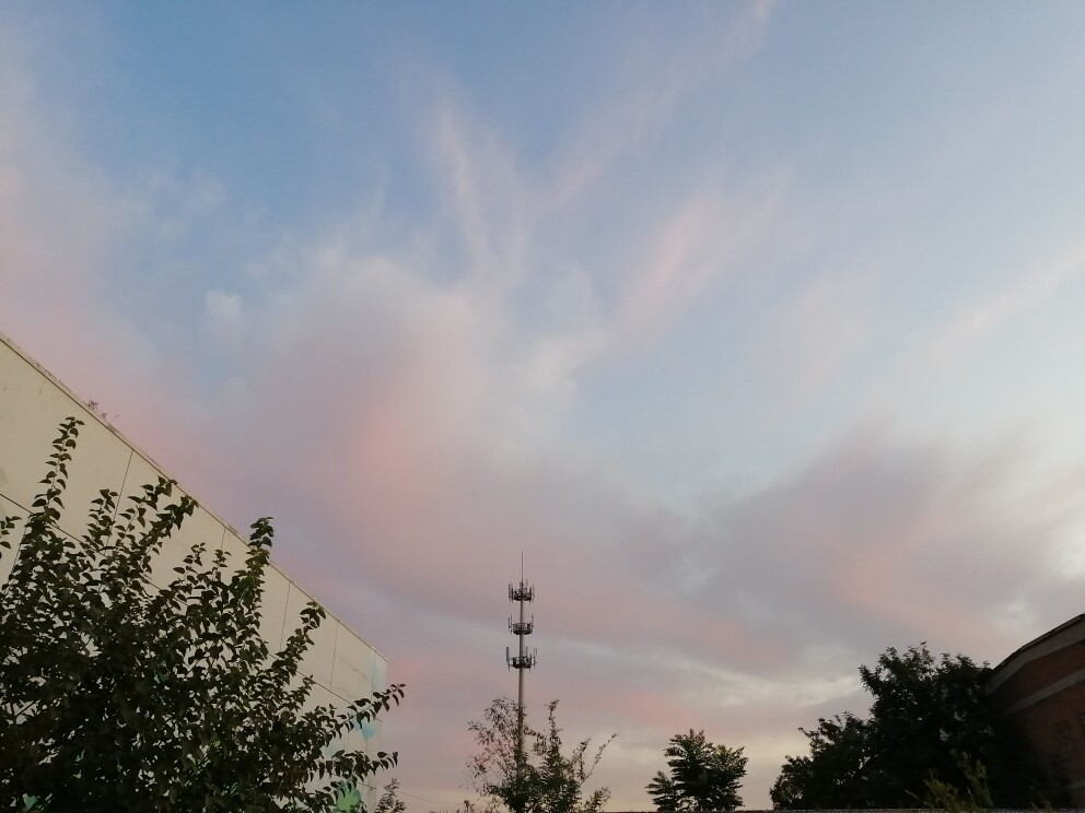 捡到一只赵小小