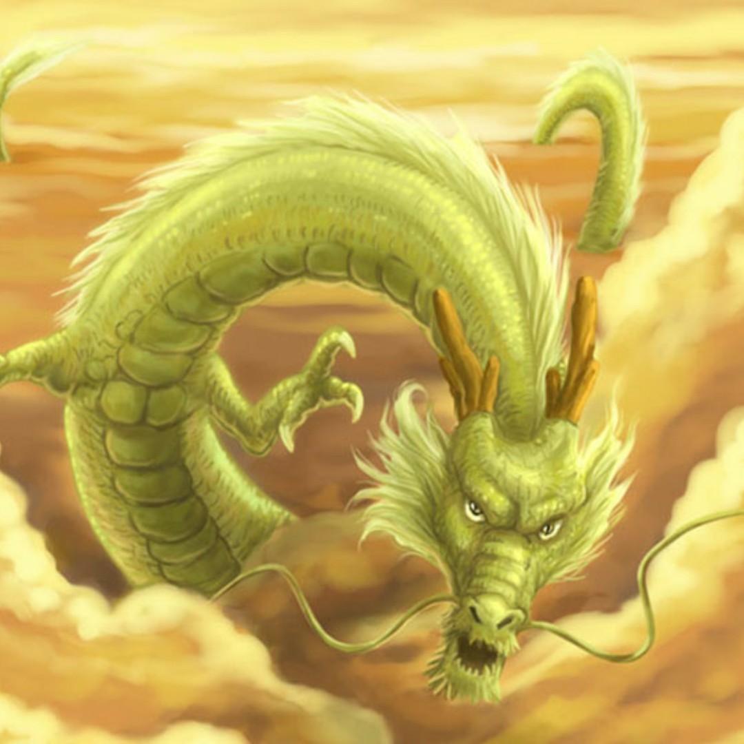 购物大师天天乐