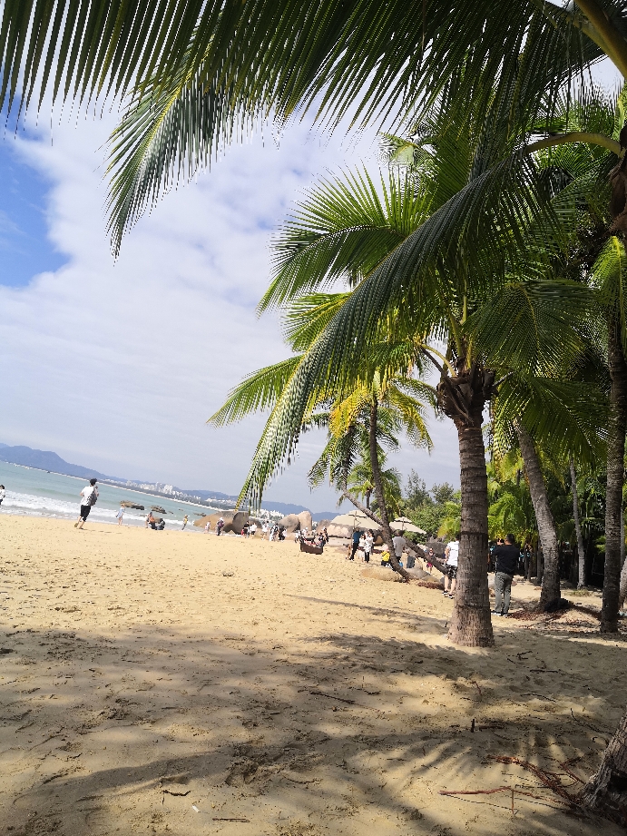 我们都在努力的活着