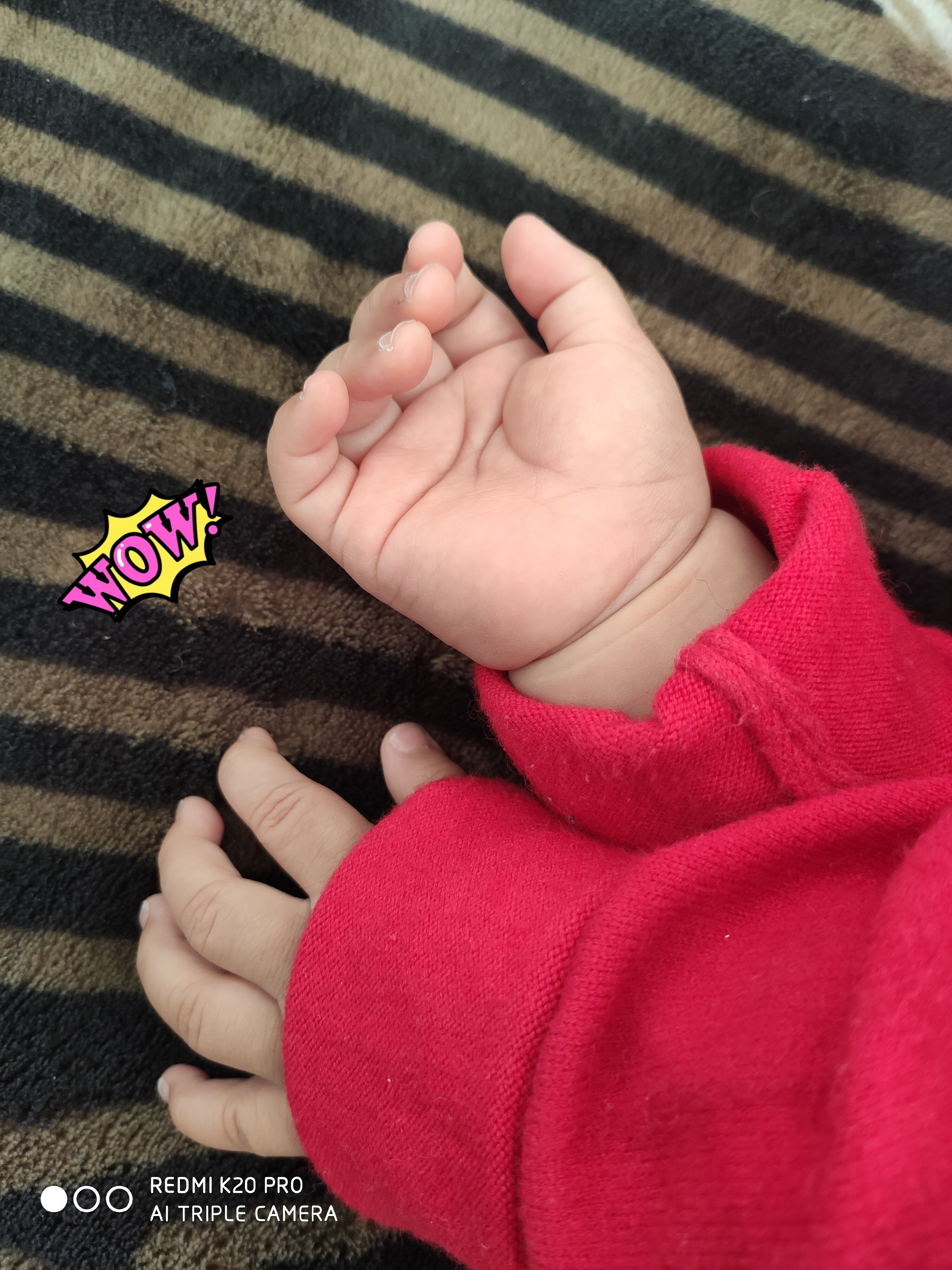 我是个勤快人儿