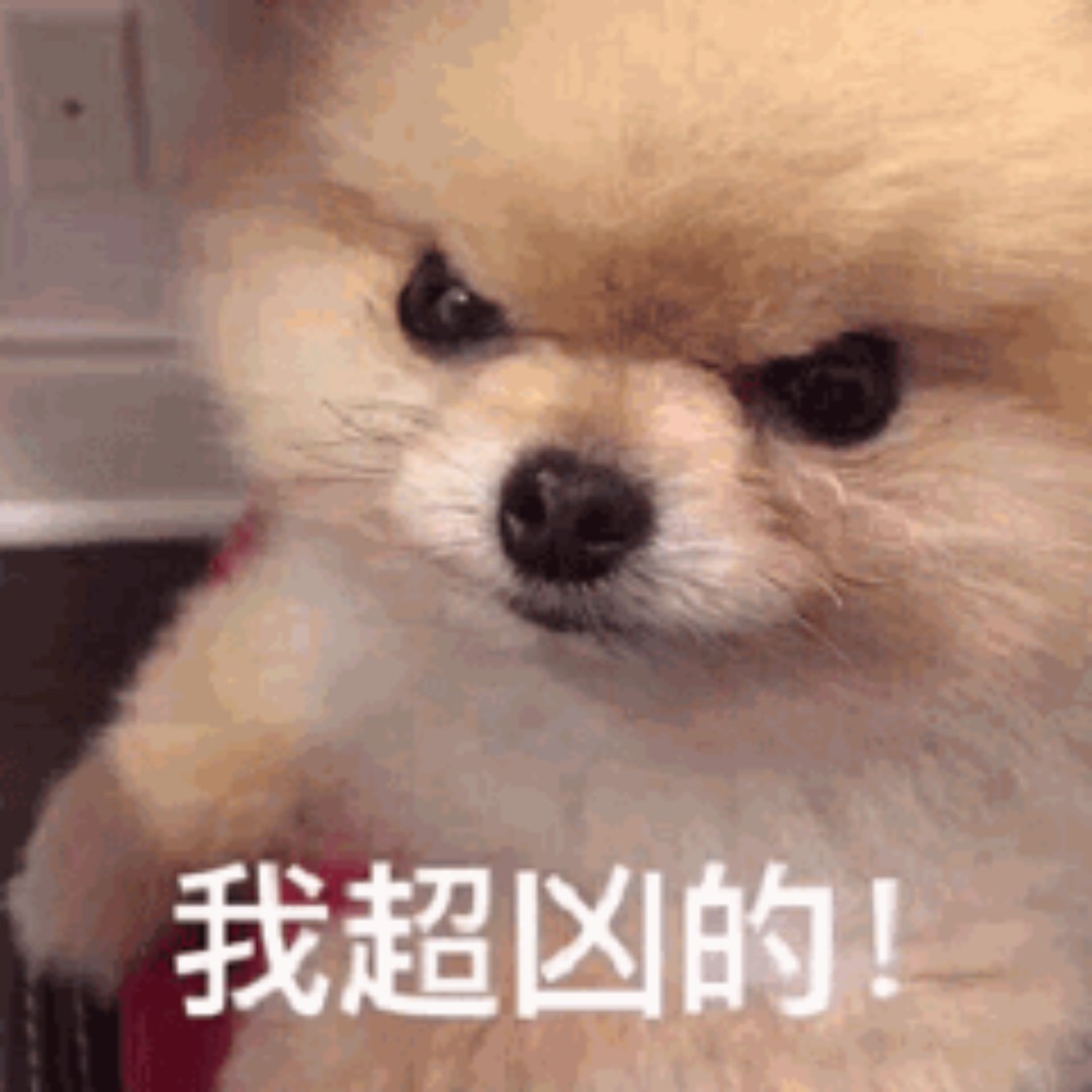 爱吃西瓜凉茶的橘猫