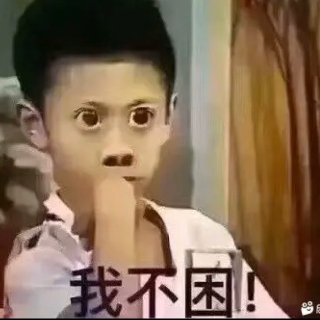 雅加达摸鱼的茼蒿