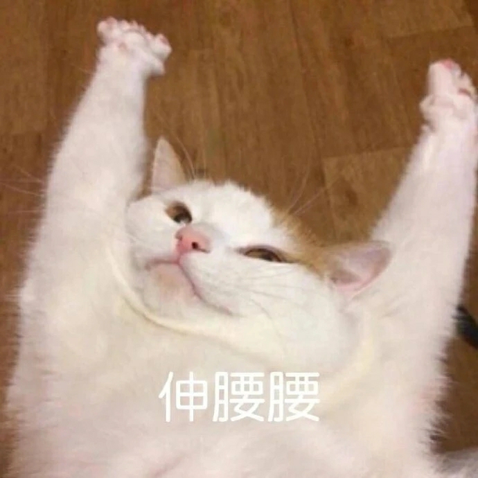 走马街摩羯座竹叶