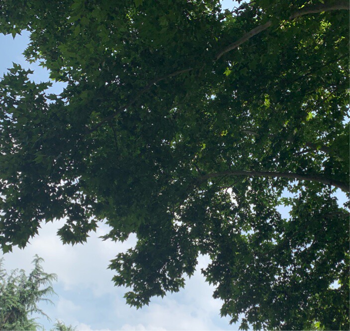 明天记得吃早餐哦