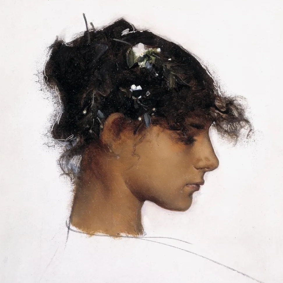 神火星淡泊的苏木