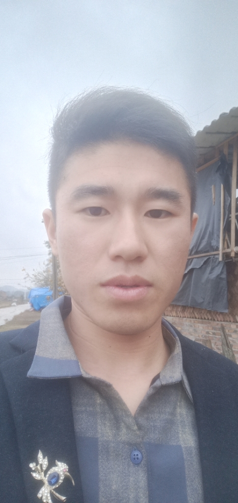 菩提树下的①棵芯