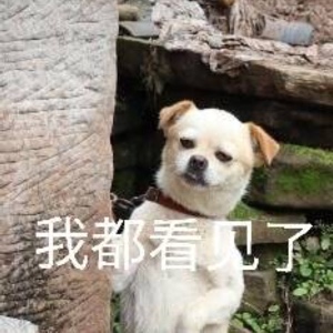 就老兵不死嘛