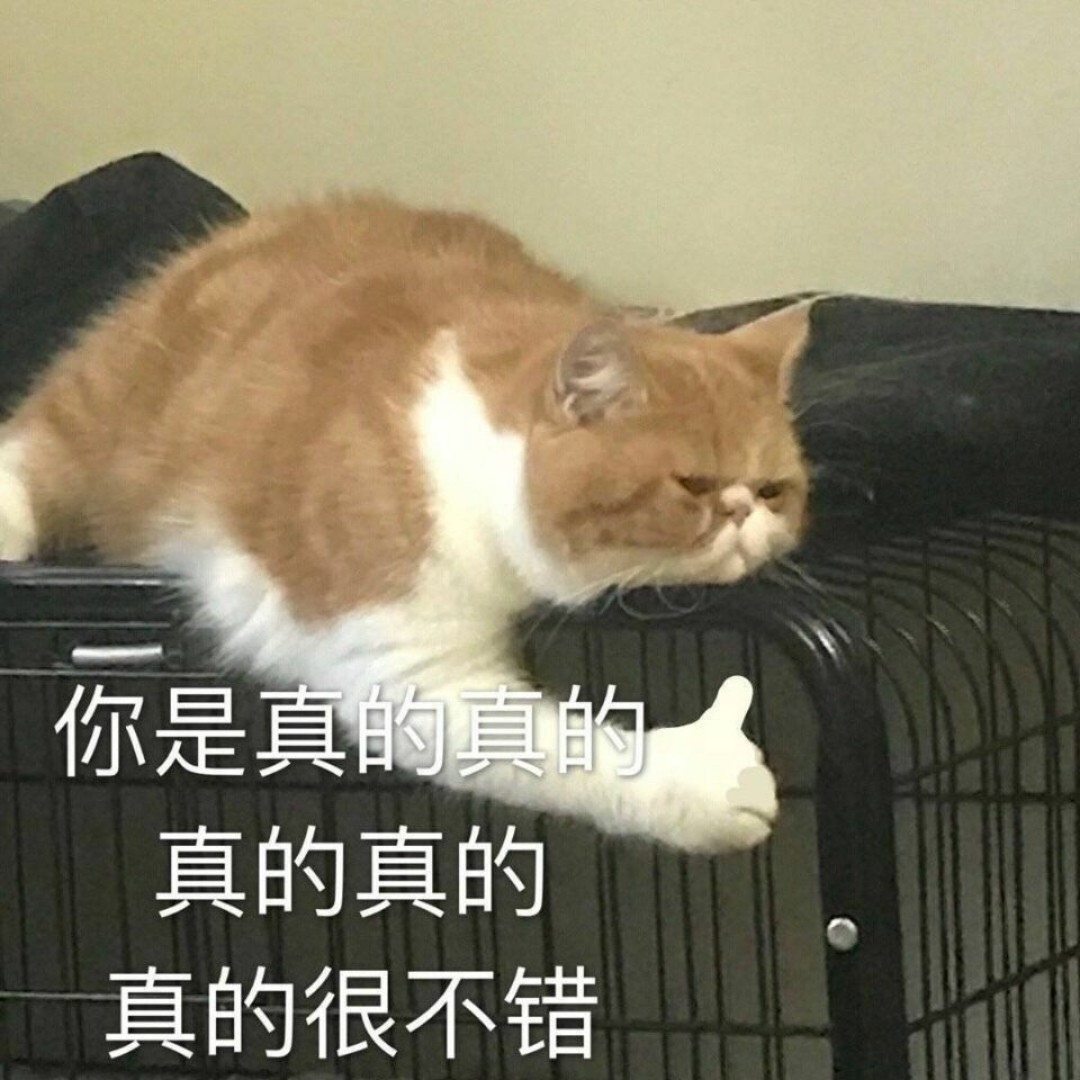 这个我没法跟你解释