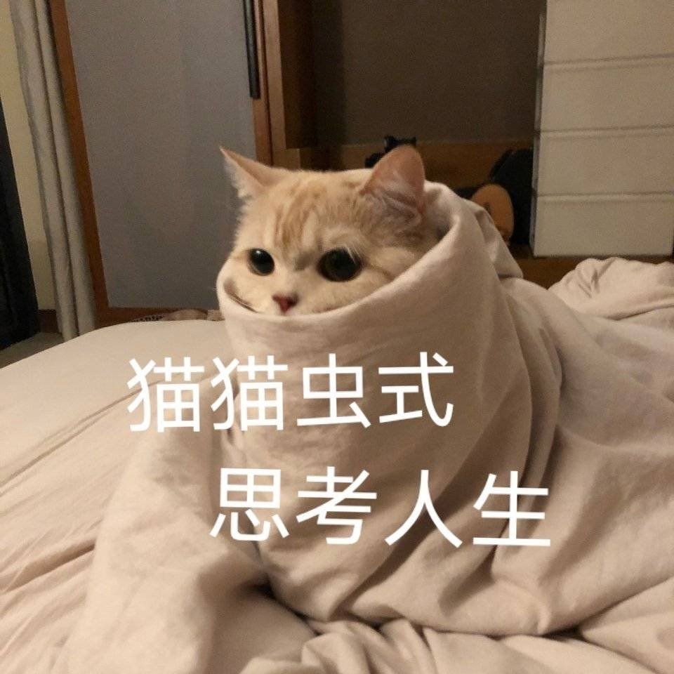 今天喝什么