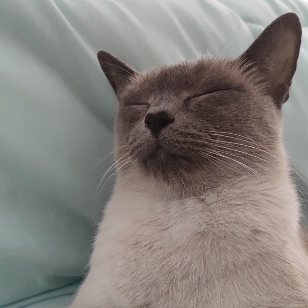 大王叫我来刷街