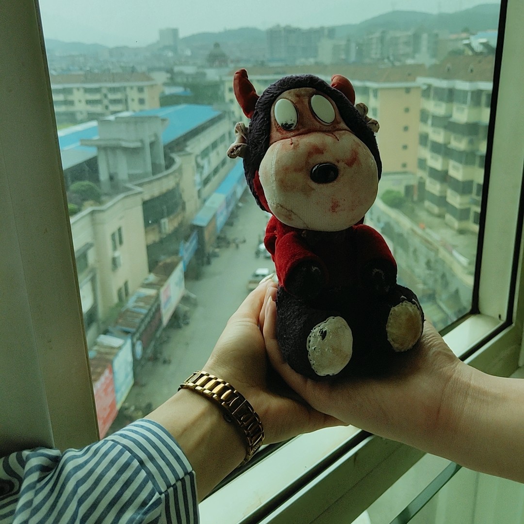 包包家的大宝贝