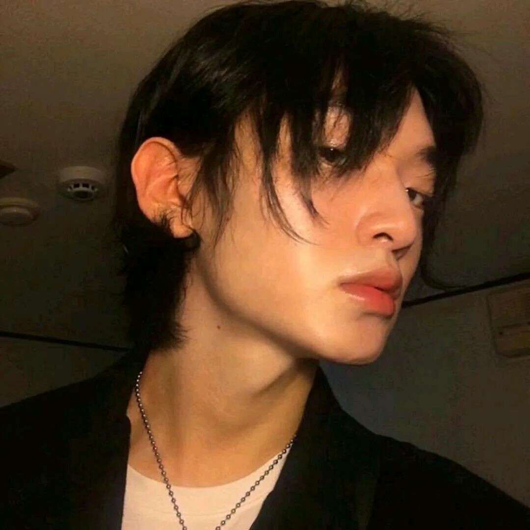 南美洲勤奋的侧柏