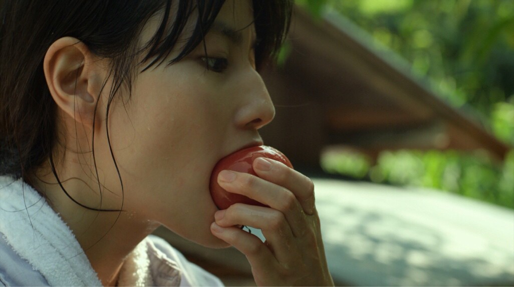 恰不胖的小律师