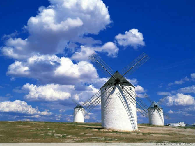 爱吃豆角火烧的大白