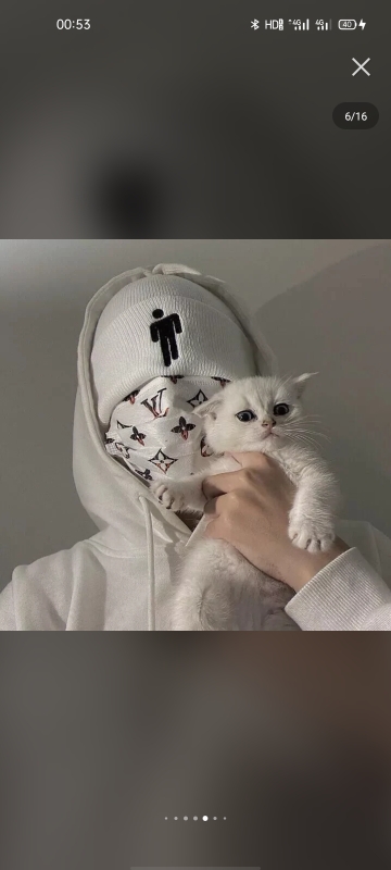 商业街外向的荷叶