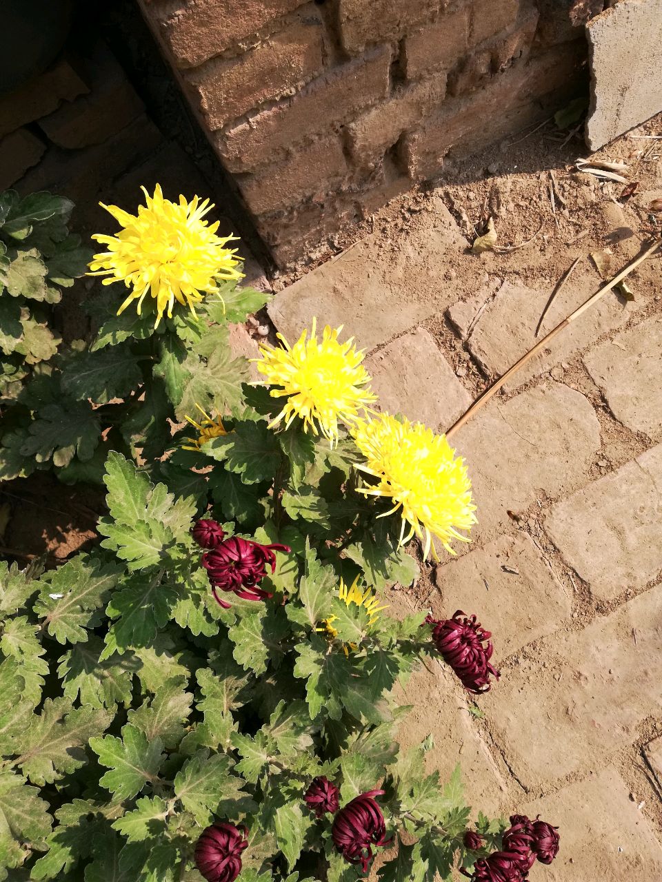 茫茫人海你我相识